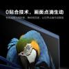 MAXHUB会议平板一体机V6科技款TF65MA高清触控屏视频会议一体机电子白板 65英寸单机